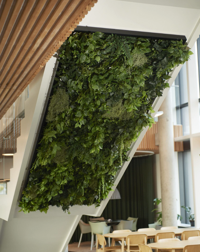 Plantevægge og mosvægge